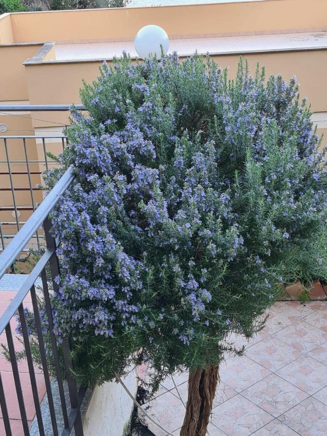 Il Rosmarino Apartment Taormina Kültér fotó