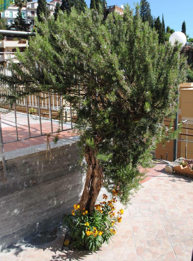 Il Rosmarino Apartment Taormina Kültér fotó